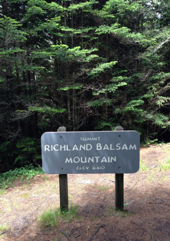 Beverly S Hill on Balsam Mountain Peak